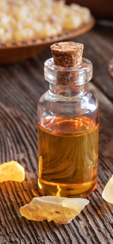 Nail & Cuticle Oil Collection